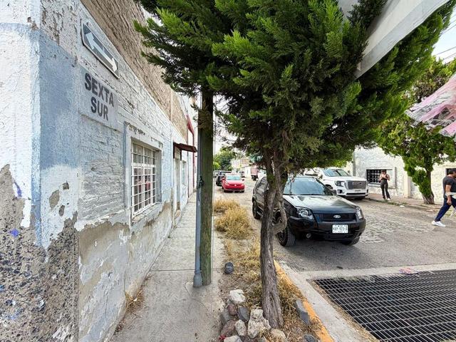 Foto de la galeria de imagenes