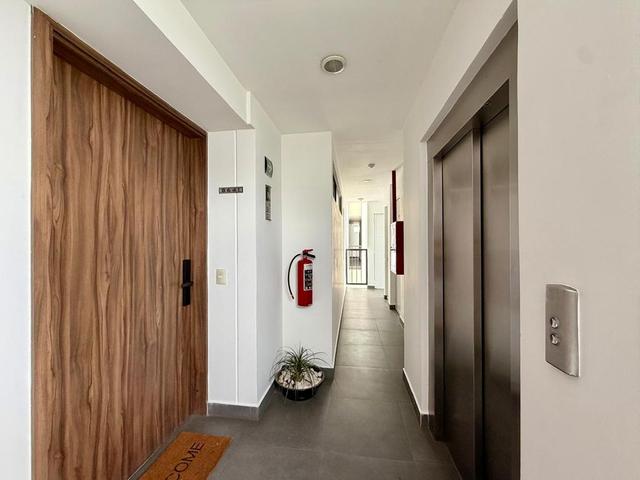Foto de la galeria de imagenes