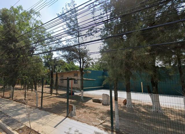 Foto de la galeria de imagenes