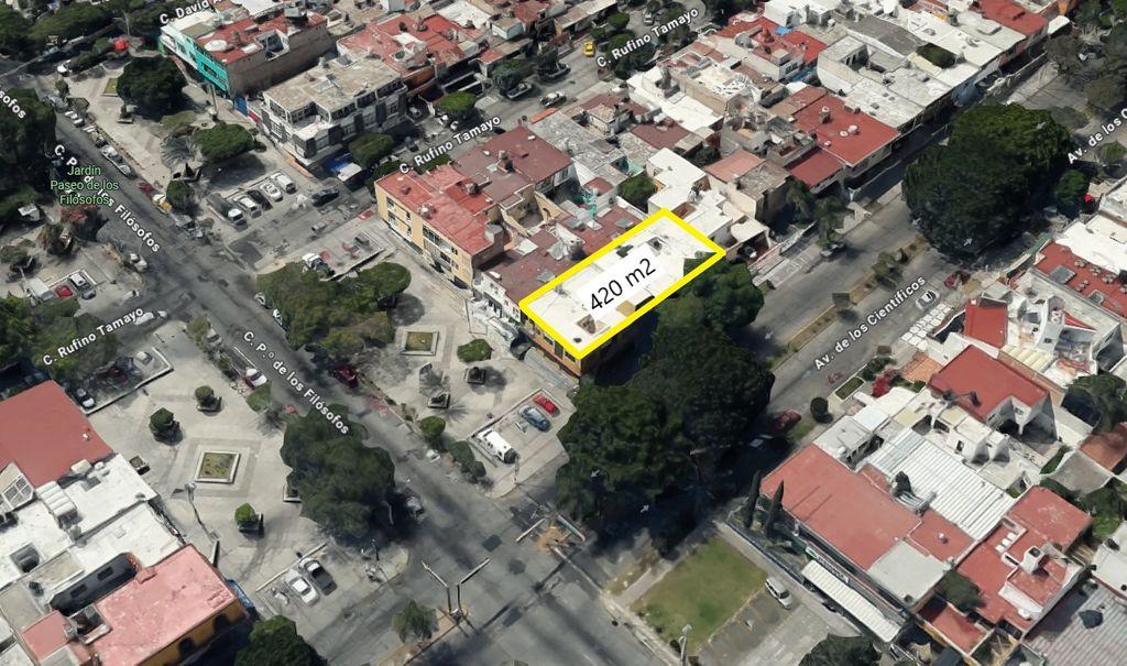Foto de la galeria de imagenes