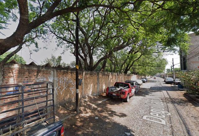 Foto de la galeria de imagenes